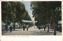 Tent City, Avalon Postcard