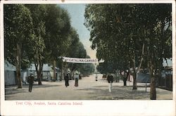 Tent City, Avalon Santa Catalina Island, CA Postcard Postcard Postcard