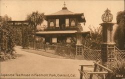 Japanese Tea-House in Piedmont Park Oakland, CA Postcard Postcard Postcard