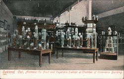 Alameda Co. Fruit and Vegitable Exhibit at Chamber of Commerce Building Postcard