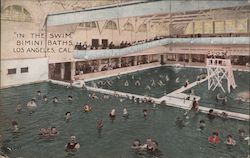 Stock #823005 Thumbnail