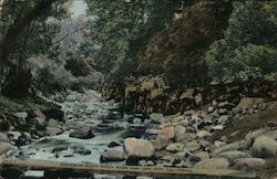 Creek in Alum Rock Park San Jose, CA Postcard Postcard Postcard