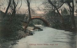 Calistoga Avenue Bridge Postcard