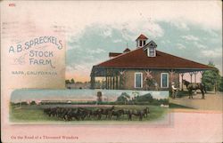 A.B. Spreckels Stock Farm Napa, CA Postcard Postcard Postcard
