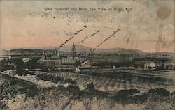 State Hospital and Birds Eye View Postcard