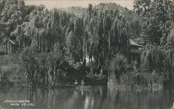 Johanisberg Postcard