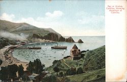 Bay at Avalon Postcard