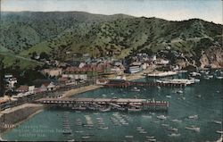 Pleasure Pier Catalina Island Postcard
