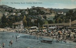 The Bathing Beach Santa Catalina Island, CA Postcard Postcard Postcard