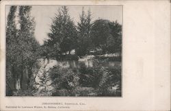 Johannisberg Postcard