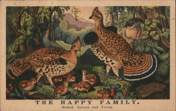 The Somerset. Currier & Ives room. The Happy Family. Ruffed Grouse and Young. Boston Massachusetts