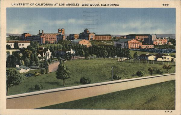 University of California at Los Angeles