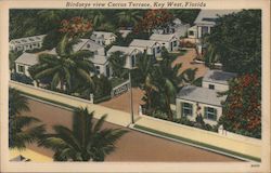 Birdseye View Cactus Terrace Postcard