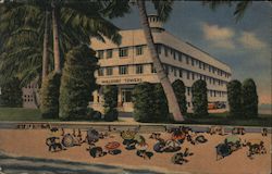 Waldorf Towers Hotel Miami Beach, FL Postcard Postcard Postcard