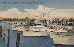 Modern Charter Boat Fishing Fleet Postcard