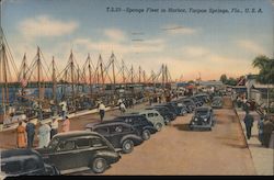 Sponge Fleet in Harbor, dock Tarpon Springs, FL Postcard Postcard Postcard