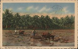 Harrowing with Carabao Postcard