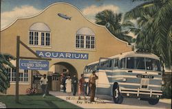 Municipal Aquarium Key West, FL Postcard Postcard Postcard