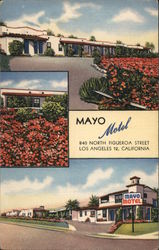 Mayo Motel Postcard