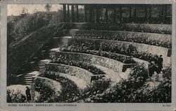 Rose Garden Postcard