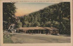 Big Sur Lodge, Pfeiffer redwoods State Park on Carmel-San Simeon Highway Postcard