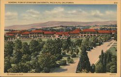 General view of Stanford University Postcard