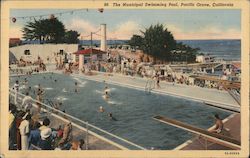 The Municipal Swimming Pool Postcard
