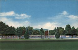 El Bonita Motel Postcard