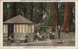 Housekeeping in the Big Tree National Parks - Sequoia and Kings Canyon Postcard