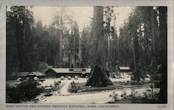 Post Office and Stores, Sequoia National Park Postcard