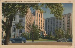 Stock #824037 Thumbnail