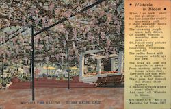 Wistaria Vine Gardens Postcard