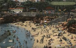 The Cove, beach, bathers, surf boards Postcard