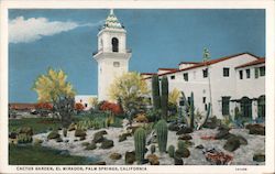 Cactus Garden, El Mirador Palm Springs, CA Postcard Postcard Postcard