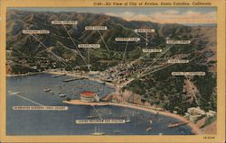 Air View of City of Avalon Postcard