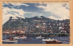 Avalon Bay, pier, boats Postcard