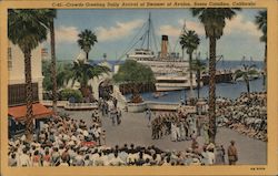 Crowds greeting daily arrival of steamer at Avalon. Pier, Fountain Plaza Postcard