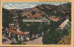 The Bird Park Postcard