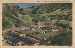 The Bird Park Santa Catalina Island, CA Postcard Postcard Postcard