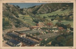 The Bird Park Postcard