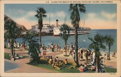 Along the beach at Avalon, ship, pier, bathers, palm trees Postcard