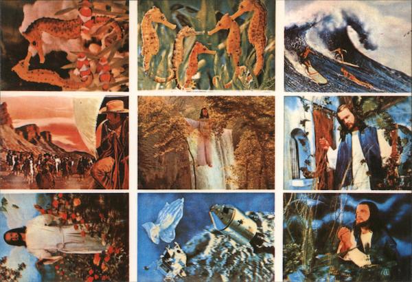 Quantity Postcards Examples. Seahorses, surfers, Jesus, outerspace, western
