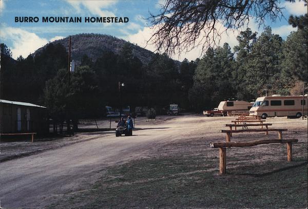 Burro Mountain Homestead Silver City New Mexico