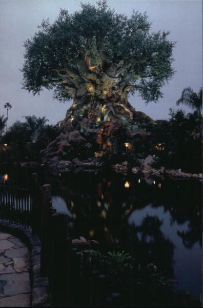 Tree of Life Disney