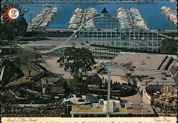 Aerial of Blue Streak - Cedar Point Postcard