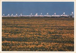 Mojave Airport Postcard