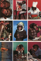 Quantity Postcards Examples. Chimps, oil rig fire, Greetings Postcard