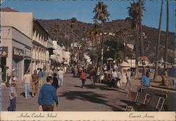 Cresent Avenue, Avalon Bay Postcard