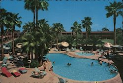 Safari Hotel Postcard