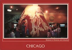 Chicago Museum of Science and Industry Postcard